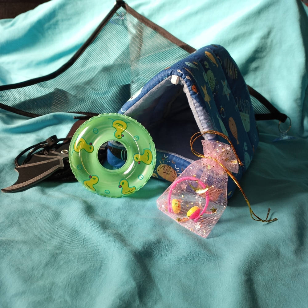 Baby Small Reptile Accessories Kit Lizard Gecko Leash Floaty Hammock Bed Hide